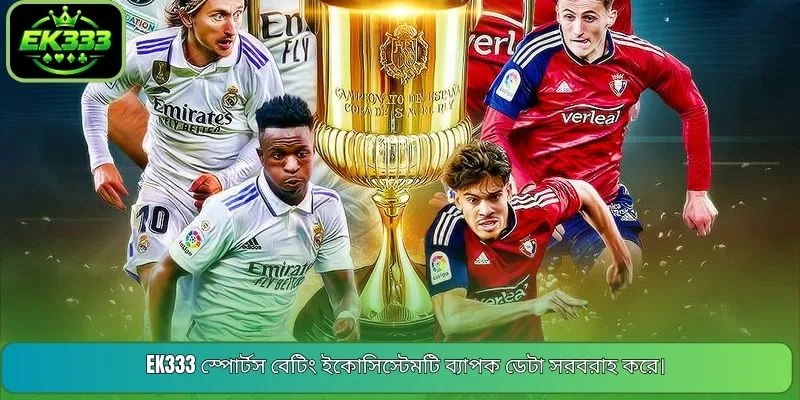 EK333 স্পোর্টস বেটিং ইকোসিস্টেমটি ব্যাপক ডেটা সরবরাহ করে।
