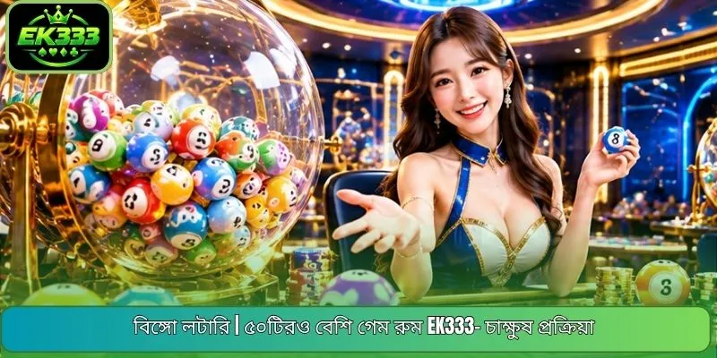 বিঙ্গো লটারি | ৫০টিরও বেশি গেম রুম EK333- চাক্ষুষ প্রক্রিয়া